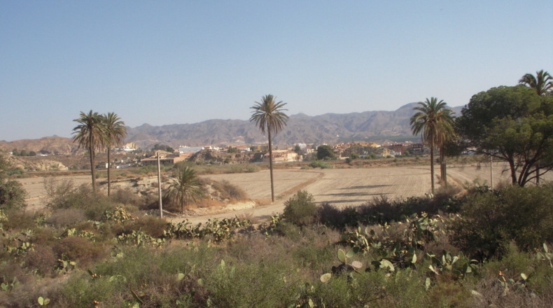 Almería - Vera - 160000m2