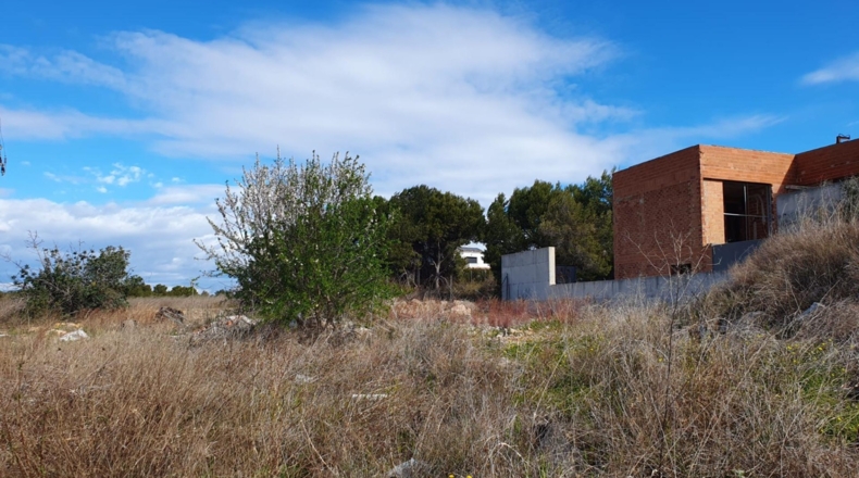 Valencia - Moncada - 861m2