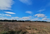 Suelo urbano en venta en la Carrer Séquia de na Rovella, Moncada, ref: TR92697 foto