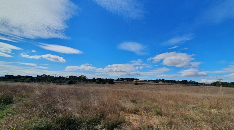 Valencia - Moncada - 861m2