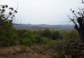 Terreny no urbanitzable en venda a la camino paraje mocho 227, Casinos, ref.: TR92699 foto