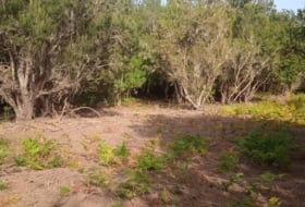 El Tanque 4785&nbsp;m² 