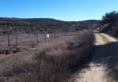 Non-developable land for sale on M-228, Tielmes, ref: TR92801 photo