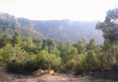 Terreny amb ruïnes en venda a la Camí de Beseit a Arnes, Beseit, ref.: TR92806 foto