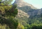 Terreny amb ruïnes en venda a la Camí de Beseit a Arnes, Beseit, ref.: TR92806 foto