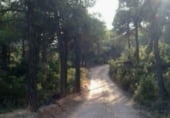 Terreny amb ruïnes en venda a la Camí de Beseit a Arnes, Beseit, ref.: TR92806 foto