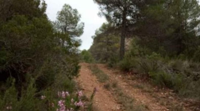 Teruel - Beceite - 78067m2