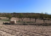 Terreny no urbanitzable en venda a la Cañada La Harina Pol-20 Parc-2, Monòver, ref.: TR92805 foto