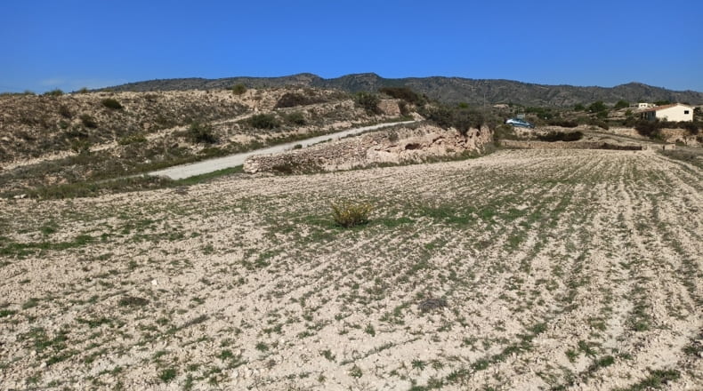 Alicante - Monóvar - 20315m2