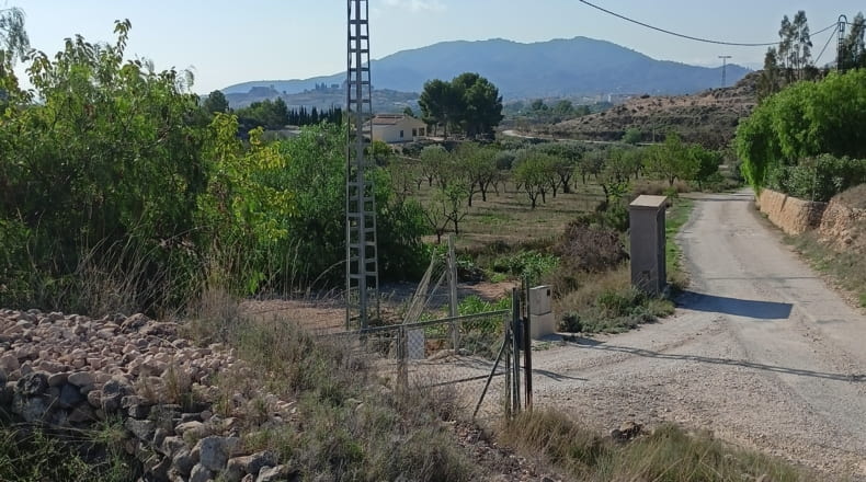 Alicante - Monóvar - 20315m2