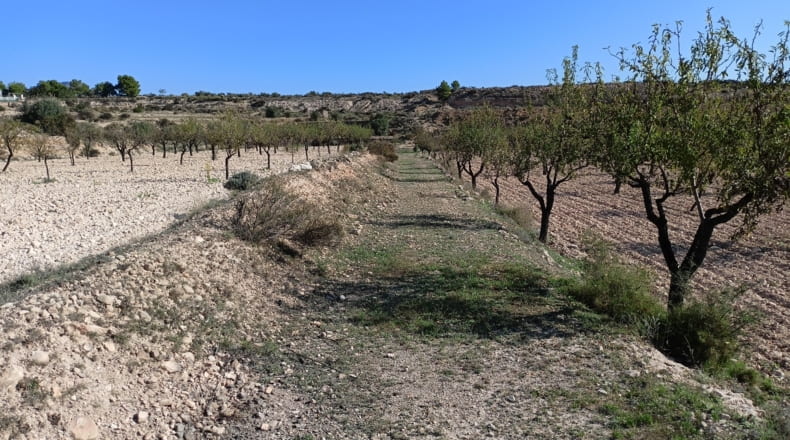Alicante - Monóvar - 20315m2