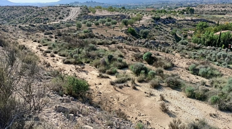 Alicante - Monóvar - 20315m2