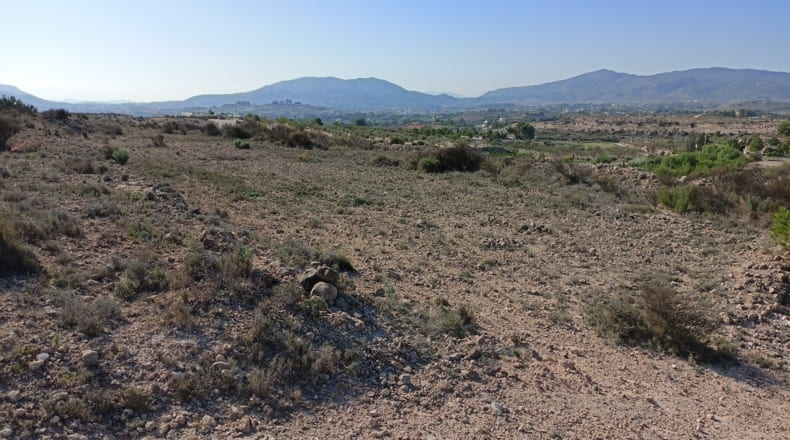 Alicante - Monóvar - 20315m2