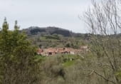 Parcel·la urbanitzable en venda a la Cervera, ref.: TR92803 foto