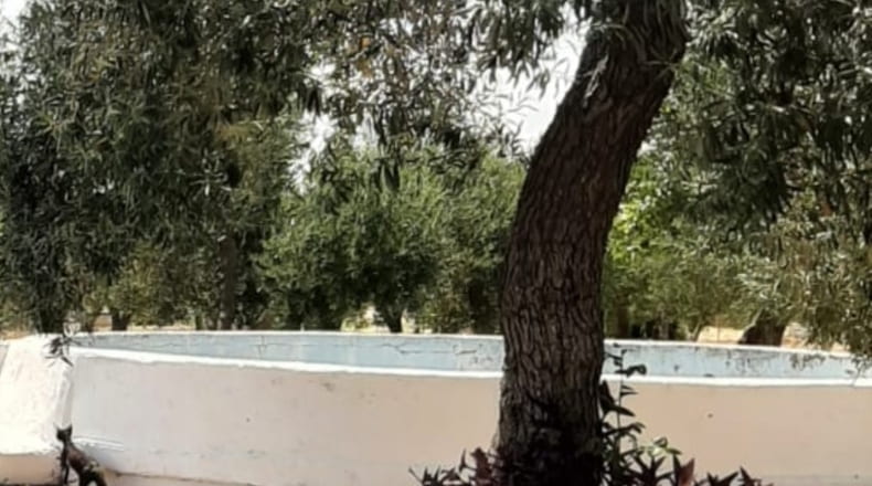 Sevilla - La Campana - 9500m2