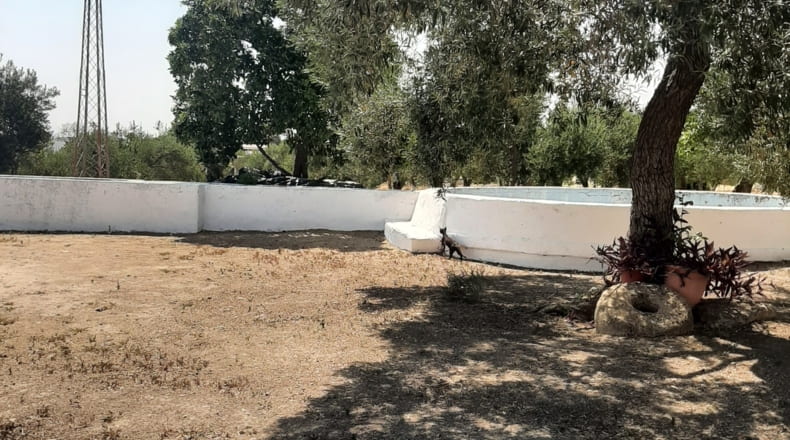 Sevilla - La Campana - 9500m2