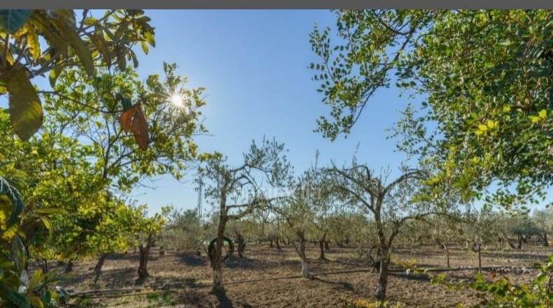 Sevilla - La Campana - 9500m2