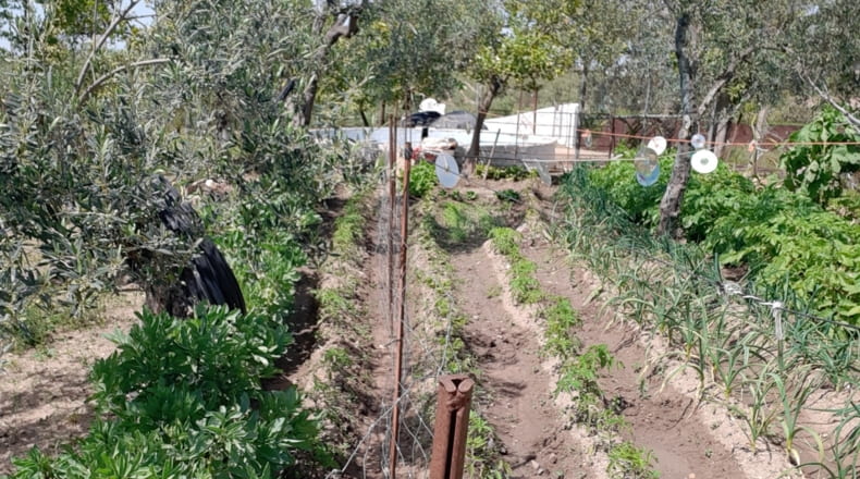 Sevilla - La Campana - 9500m2