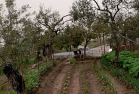 Foto 10