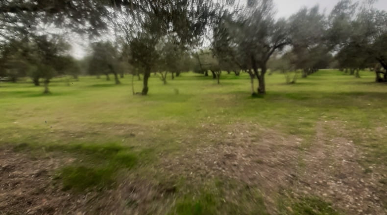 Sevilla - La Campana - 9500m2