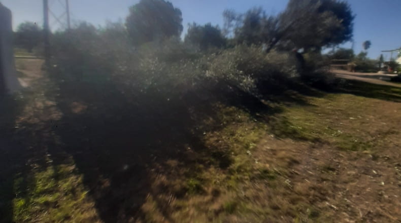 Sevilla - La Campana - 9500m2