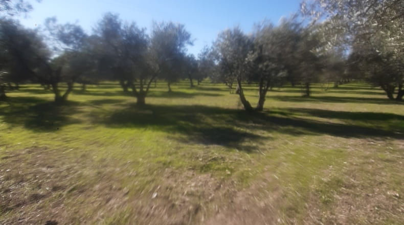 Sevilla - La Campana - 9500m2
