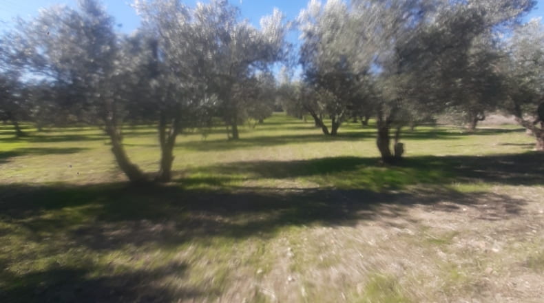 Sevilla - La Campana - 9500m2