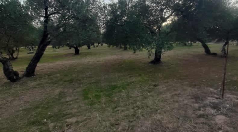 Sevilla - La Campana - 9500m2