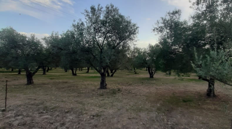 Sevilla - La Campana - 9500m2