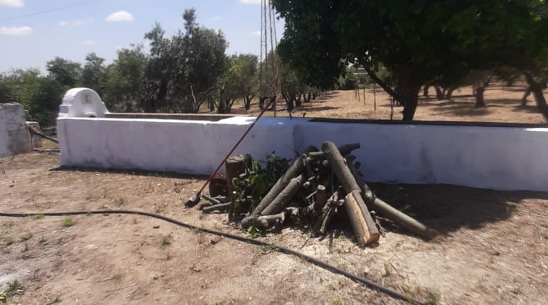 Sevilla - La Campana - 9500m2