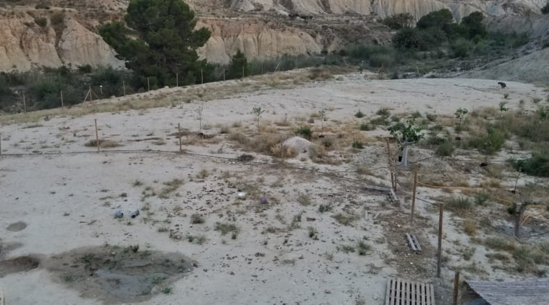 Murcia - El Tolle - 7607m2
