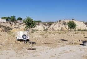 El Tolle 7607&nbsp;m² 