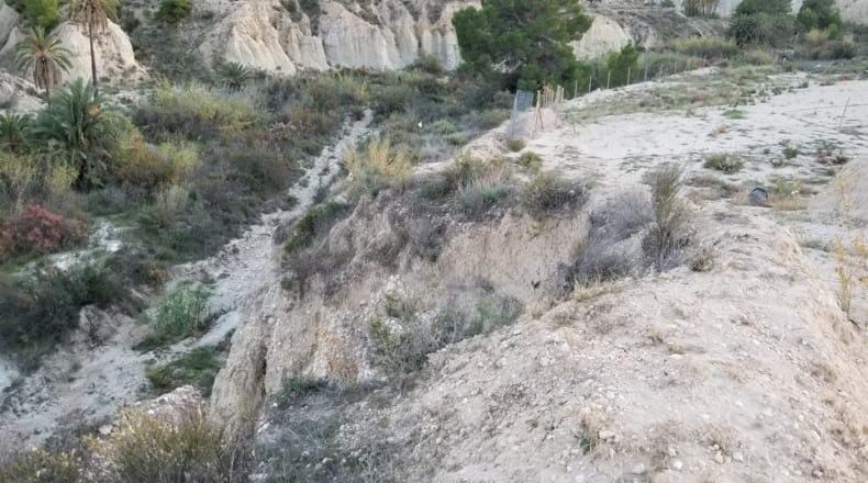 Murcia - El Tolle - 7607m2