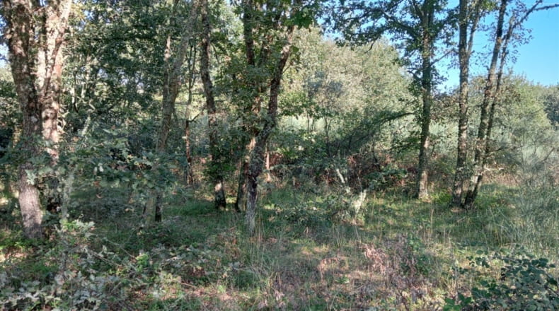 Orense - A Seara - 3572m2