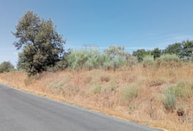 O Bouzo 10000&nbsp;m² 