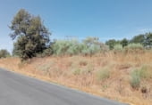 Non-developable land for sale on O Bouzo, ref: TR92946 photo