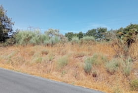 O Bouzo 10000&nbsp;m² 