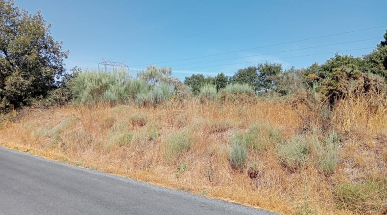 Orense - Baltar - 10000m2
