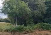 Земля на продажу у города As Casas da Veiga Фото