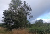 Земля на продажу у города As Casas da Veiga Фото