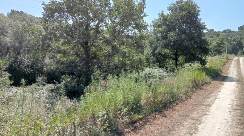 Orense - A Bola - 3847m2
