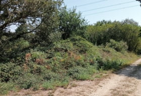 Ponte Fechas 2446&nbsp;m² 