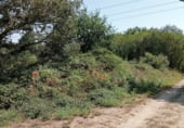 Non-developable land for sale on Ponte Fechas, ref: TR93019 photo