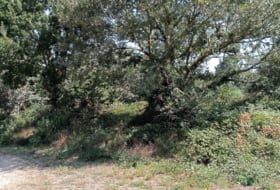 Ponte Fechas 2446&nbsp;m² 
