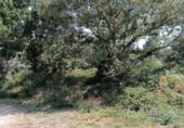 Non-developable land for sale on Ponte Fechas, ref: TR93019 photo