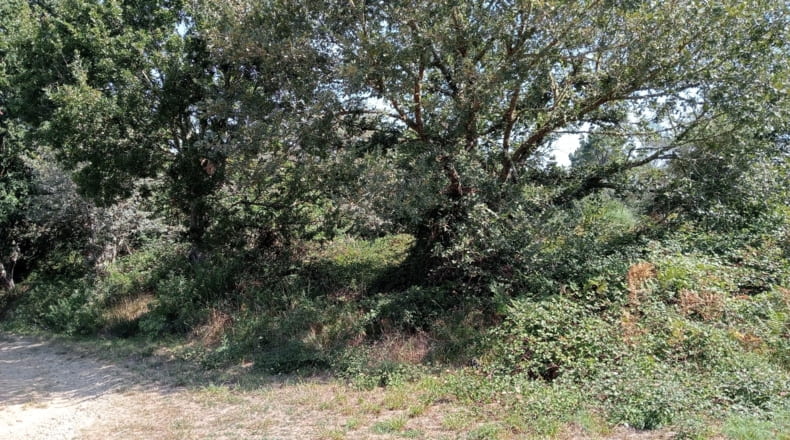 Orense - Celanova - 2446m2