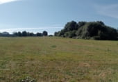 Non-developable land for sale on Vilaseca, ref: TR93017 photo