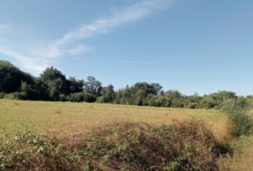 Vilaseca 9855&nbsp;м²