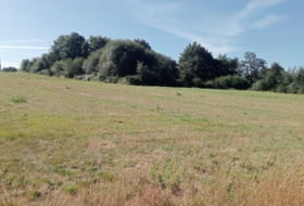 Vilaseca 9855&nbsp;м²