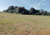 Non-developable land for sale on Vilaseca, ref: TR93017 photo